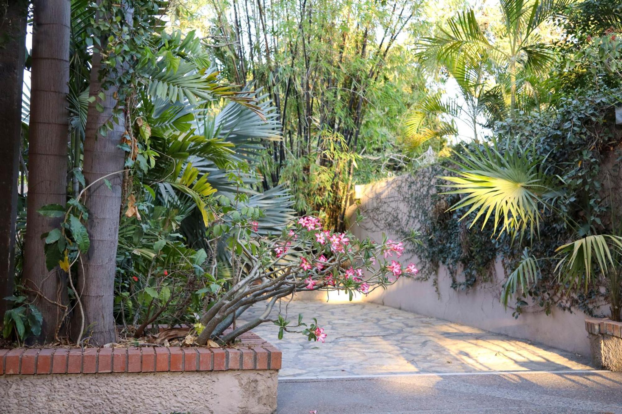 Hotel Casa Ortiz Ciudad Valles Luaran gambar